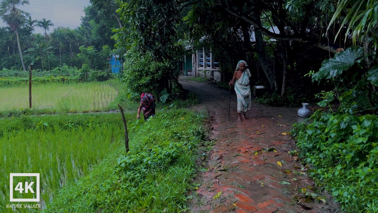 I Spent 1 Hour in a HEAVY RAIN Village and Here's What Happened