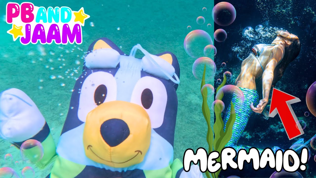 Bluey and Bingo Magical Cruise Adventure: Scuba Diving, Buried Pirate Treasure, Mermaids and more!