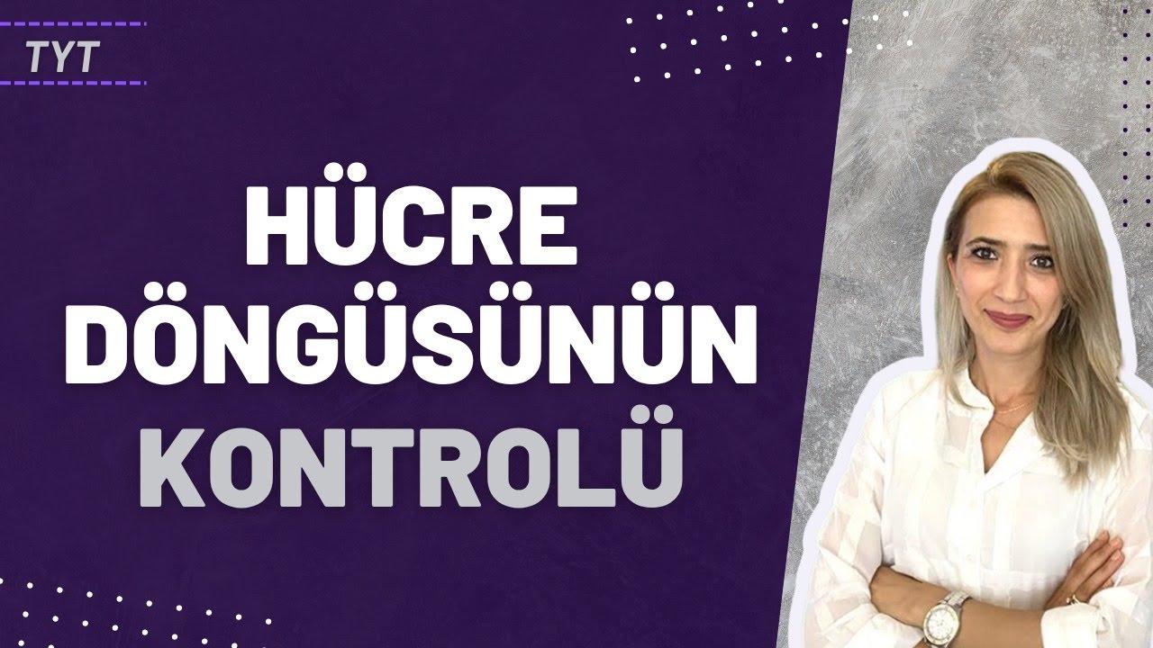 (29.Ders)  HÜCRE DÖNGÜSÜNÜN KONTROLÜ | Seda Hoca Biyoloji 🧬