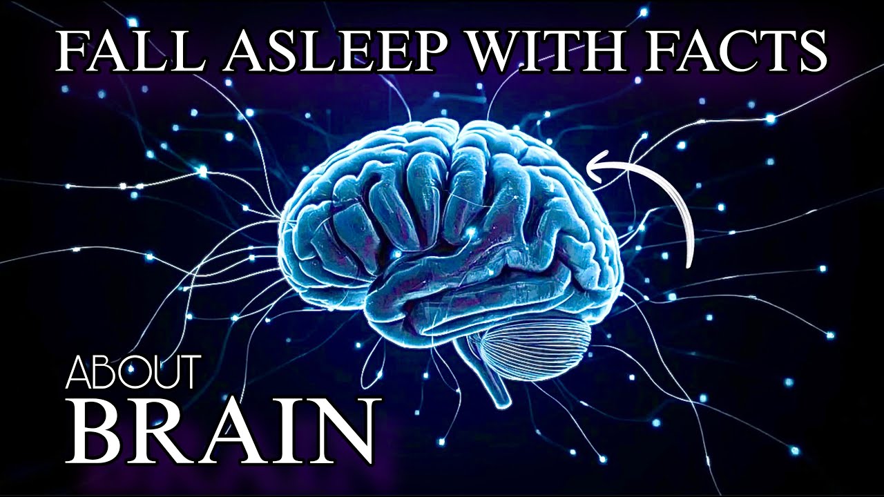 RELAXING IMMERSION IN BRAIN &mdash; TO CALM YOUR MIND BEFORE SLEEP