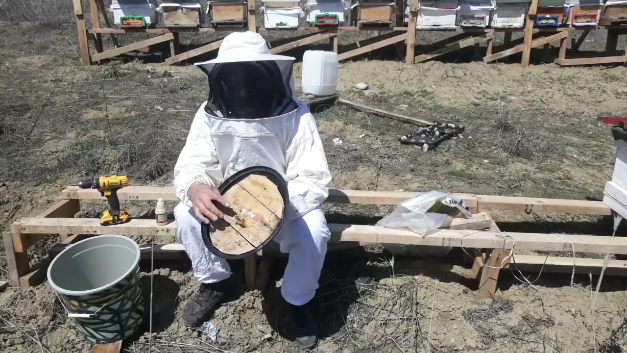 OĞUL ARI YAKALAMA TEKNİĞİ DETAYLI ANLATIM HOBİCİLER MUTLAKA İZLESİN 2023