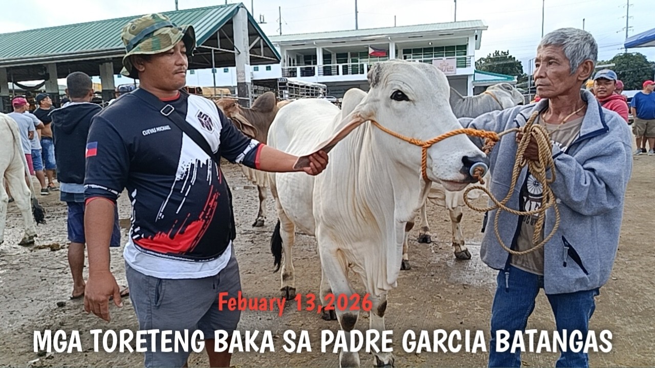 Mga Toreteng Baka sa Padre Garcia Batangas