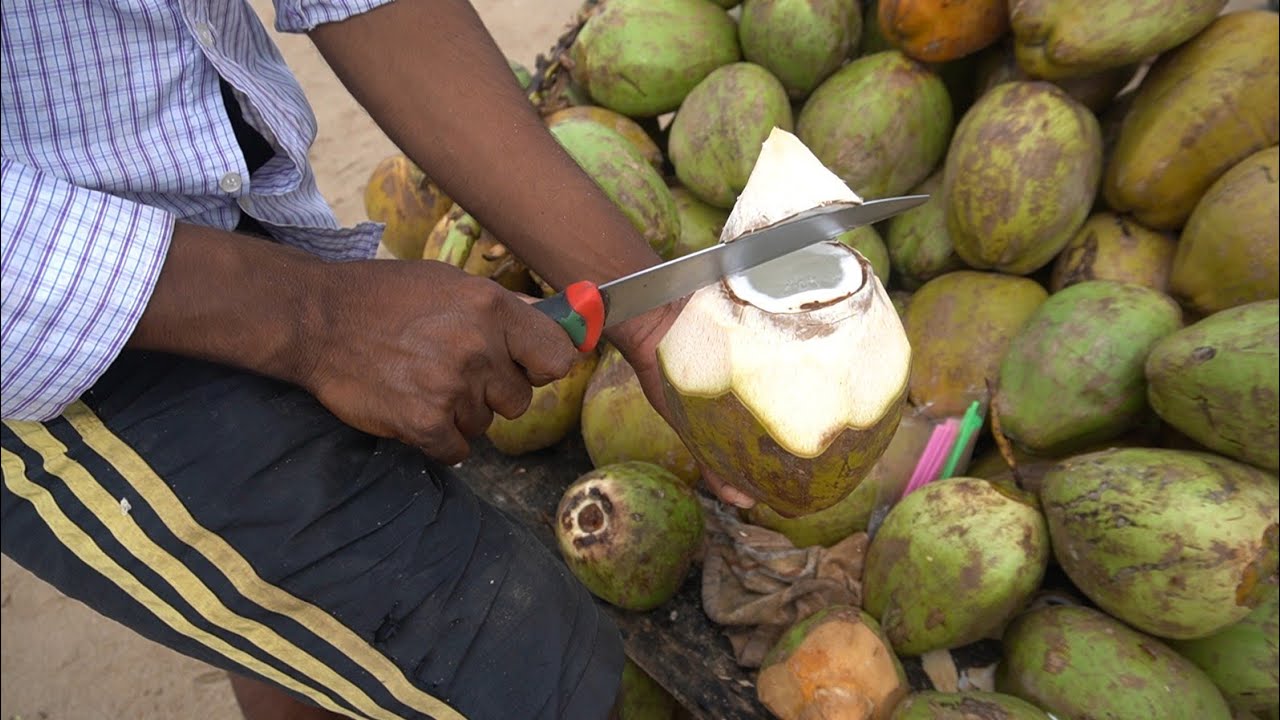 Very Amazing Coconut Cutting Skills | Indian Street Food