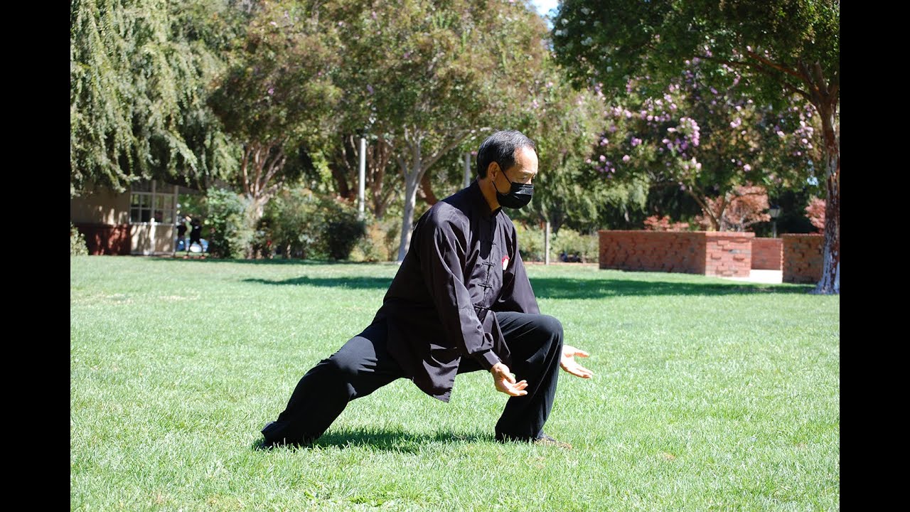 Tony Wong&rsquo;s demo of three Chen Taiji forms