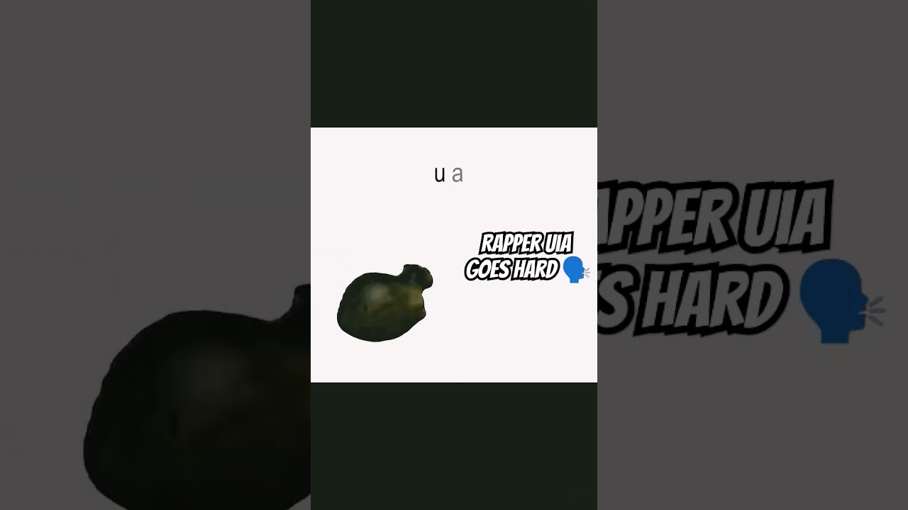Raper uia 😎#cat #memes #funny #edit #cute #roblox #sadchill #chill #funnymemes #chilld