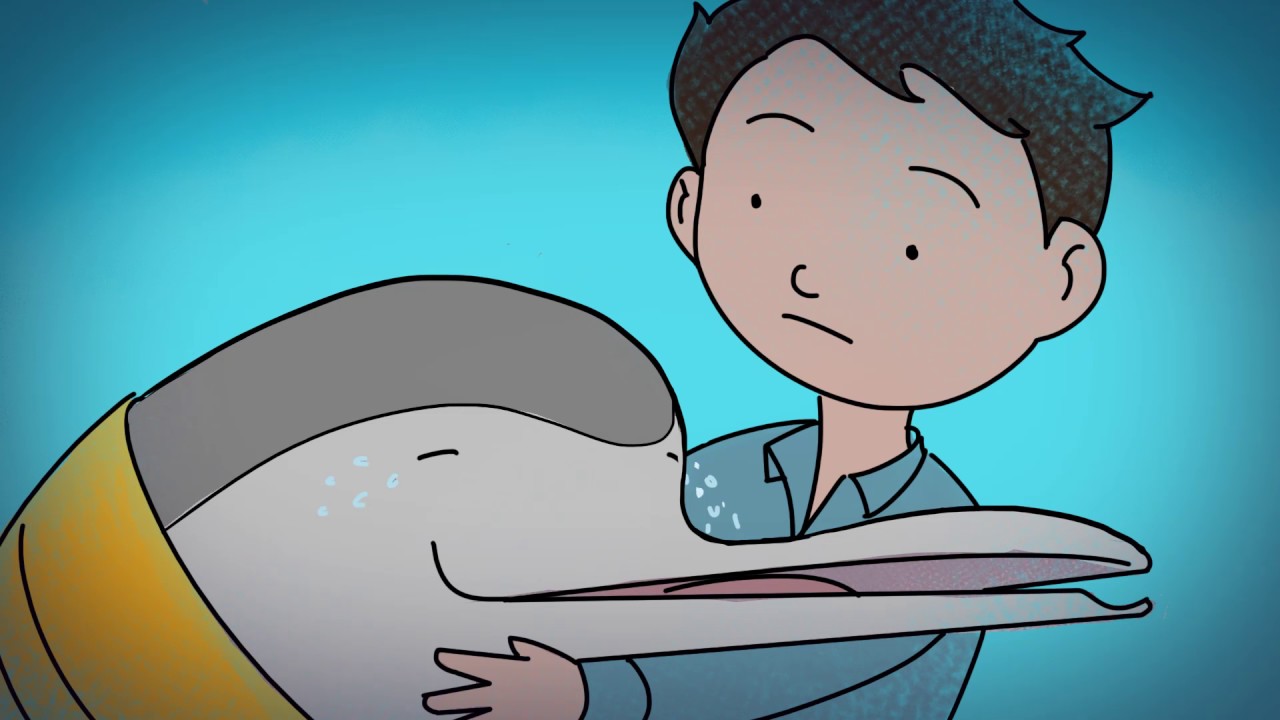 The story of the Indus River dolphin (bhulan)