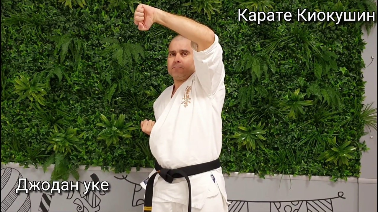 Блоковете в Карате Киокушин. Тренировки с Живко