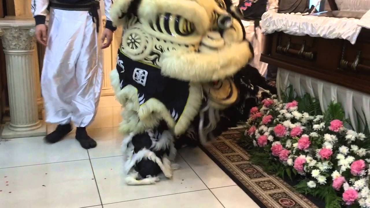 Crying lion