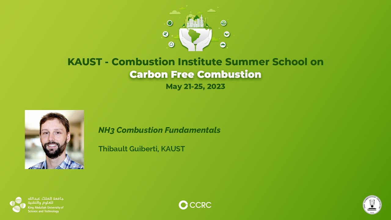 Thibault Guiberti: NH3 (Ammonia) combustion fundamentals