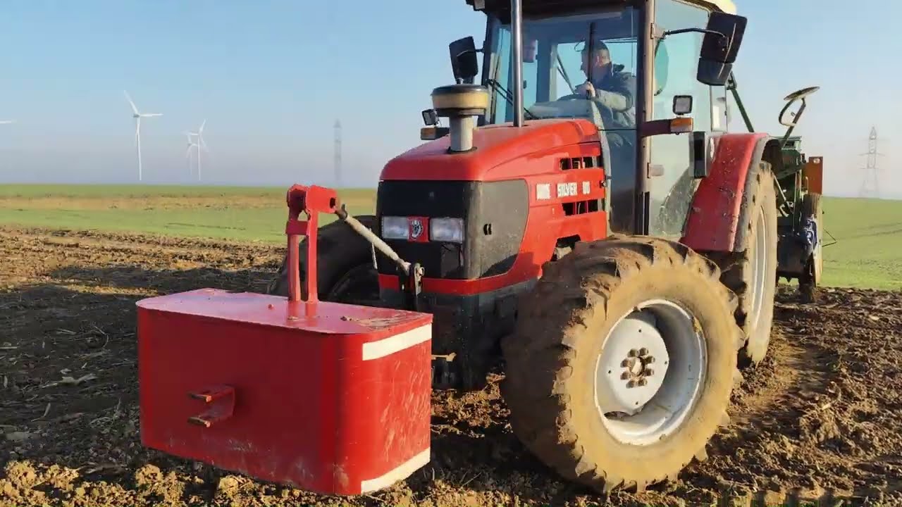 Siewy pszenicy/ Same Silver 90/Zetor 7011