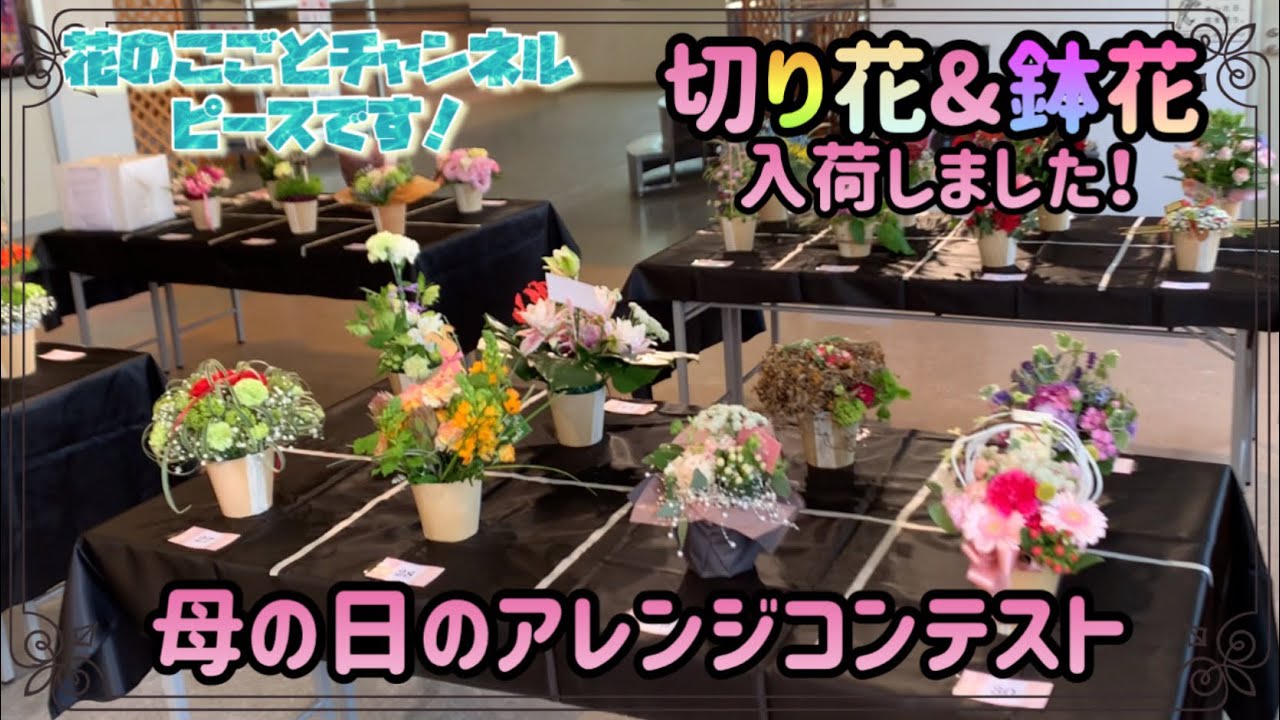 【花屋】5/1（月）入荷状況！途中母の日のアレンジコンテスト🌸#416