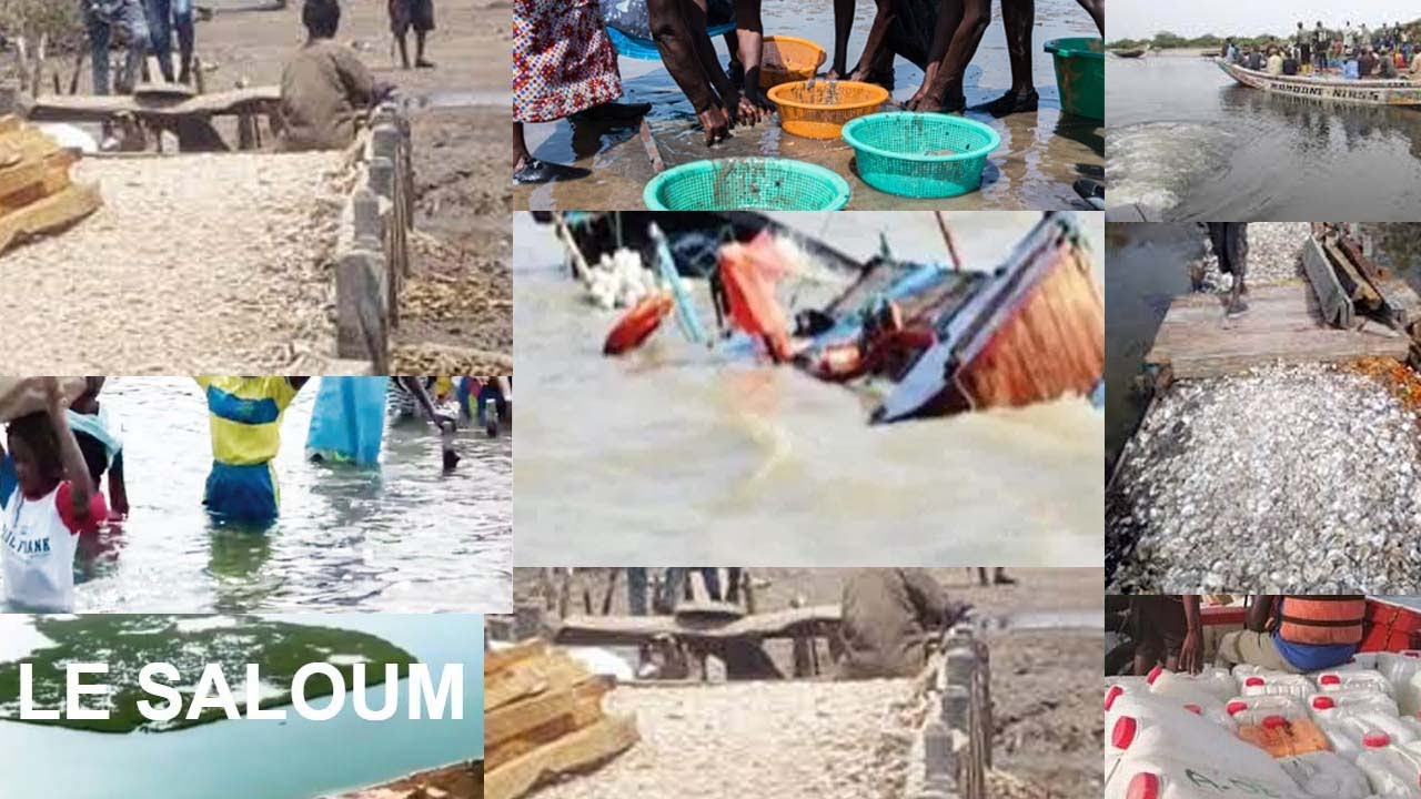 Les conditions précaires des habitants de Djirnda( îles du SALOUM)