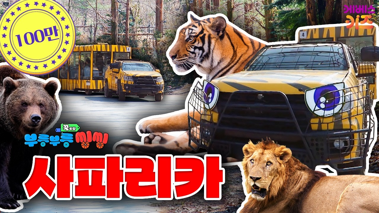 사자! 호랑이! 무서운 맹수를 가까이서 보는 자동차ㅣ사파리카ㅣ꾹이랑 부릉부릉 씽씽ㅣ꾹TVㅣKBS 250507방송