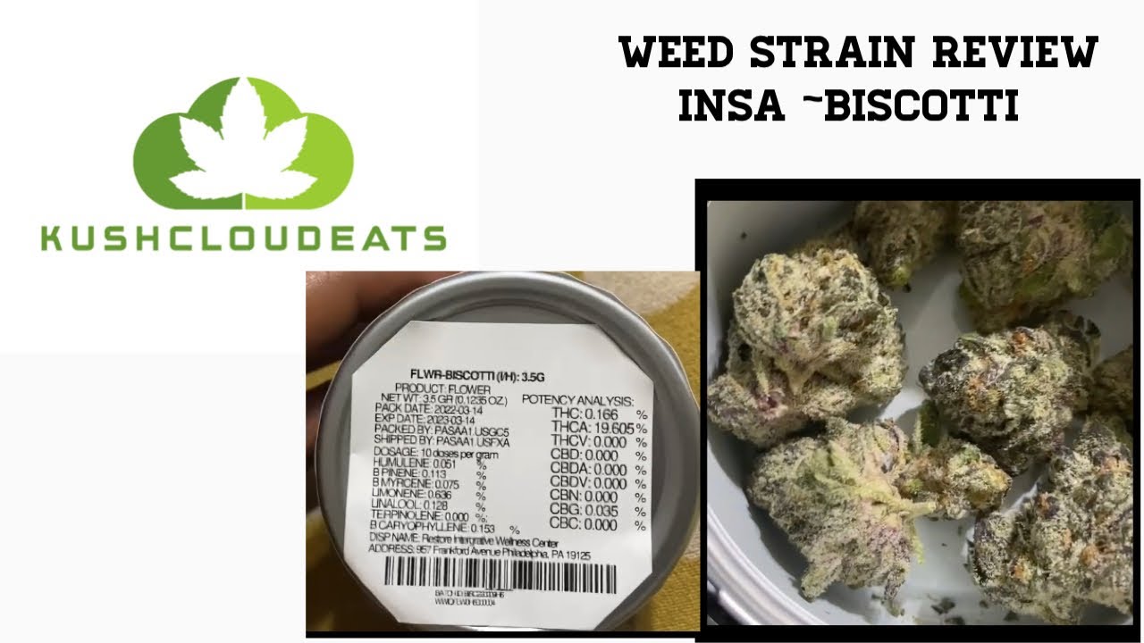 WEED STRAIN REVIEW‼️ BISCOTTI