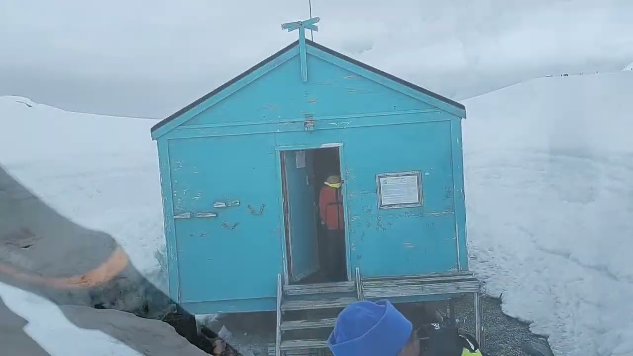 Cat goes to Antarctica - Day 8 - Damoy Point