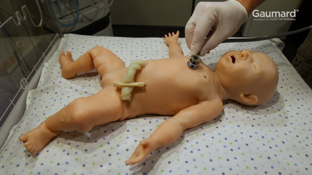 Gaumard® Super Tory® S2220: Cardiac Features How-To Episode 7/11