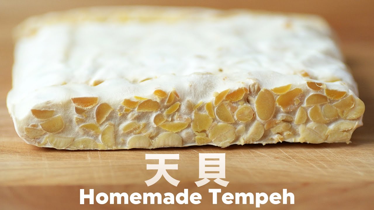 三大發酵營養食物之一❗️大豆真是種神奇的作物 ＠beanpandacook