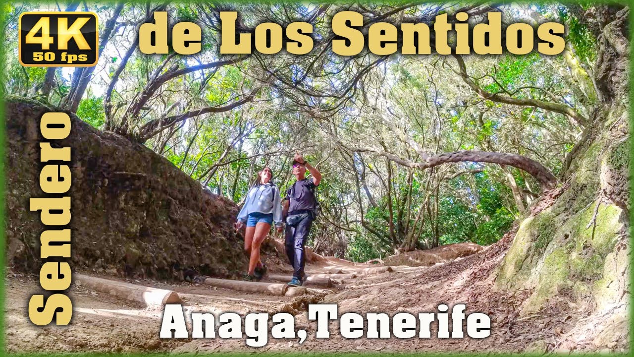 Sendero de los Sentidos Tenerife (Anaga)