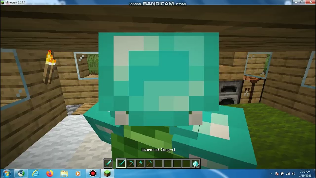 minecraft (2).avi