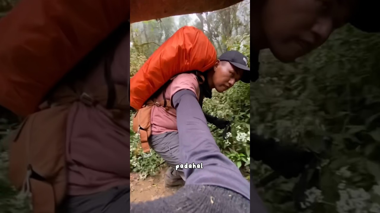 HUTAN LUMUT GUNUNG ARGOPURO&bull; TERTINGGAL HINGGA DIBUAT MUTER&rdquo;😮&zwj;💨 #viral #shorts #gunung #pendaki