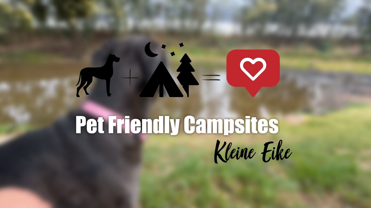 RTN | Pet Friendly Campsite | Kleine Eike