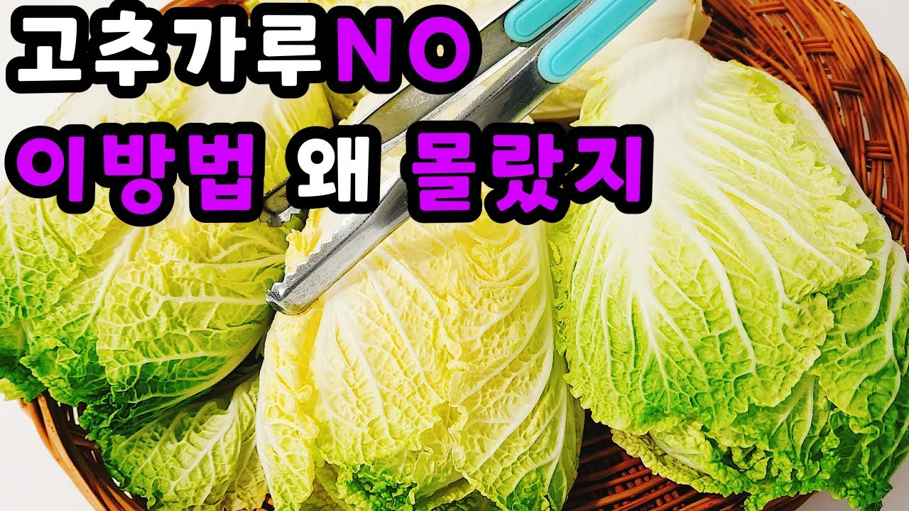 💚고춧가루 제발 넣지마세요 배추 이 방법은 아무도 모릅니다 보이면 많이 사오셔서 이렇게 드세요🍀이렇게 해 드시면 여름이 건강하고 행복합니다