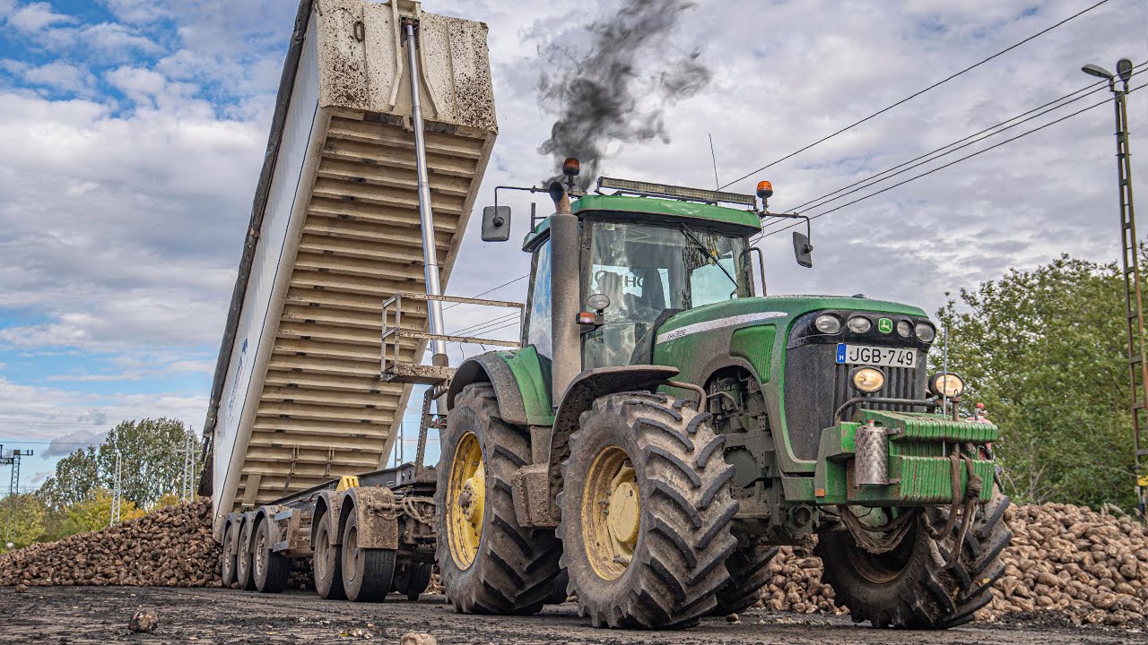 SugarBeet Harvest 2025 Ropa Maus 1, 4x John Deere 8220,7730 [Cukorrépa betakarítás és szállítás]