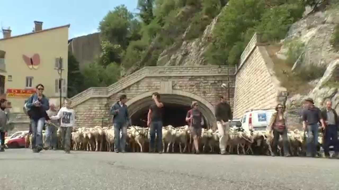 Fête de l'agneau Sisteron