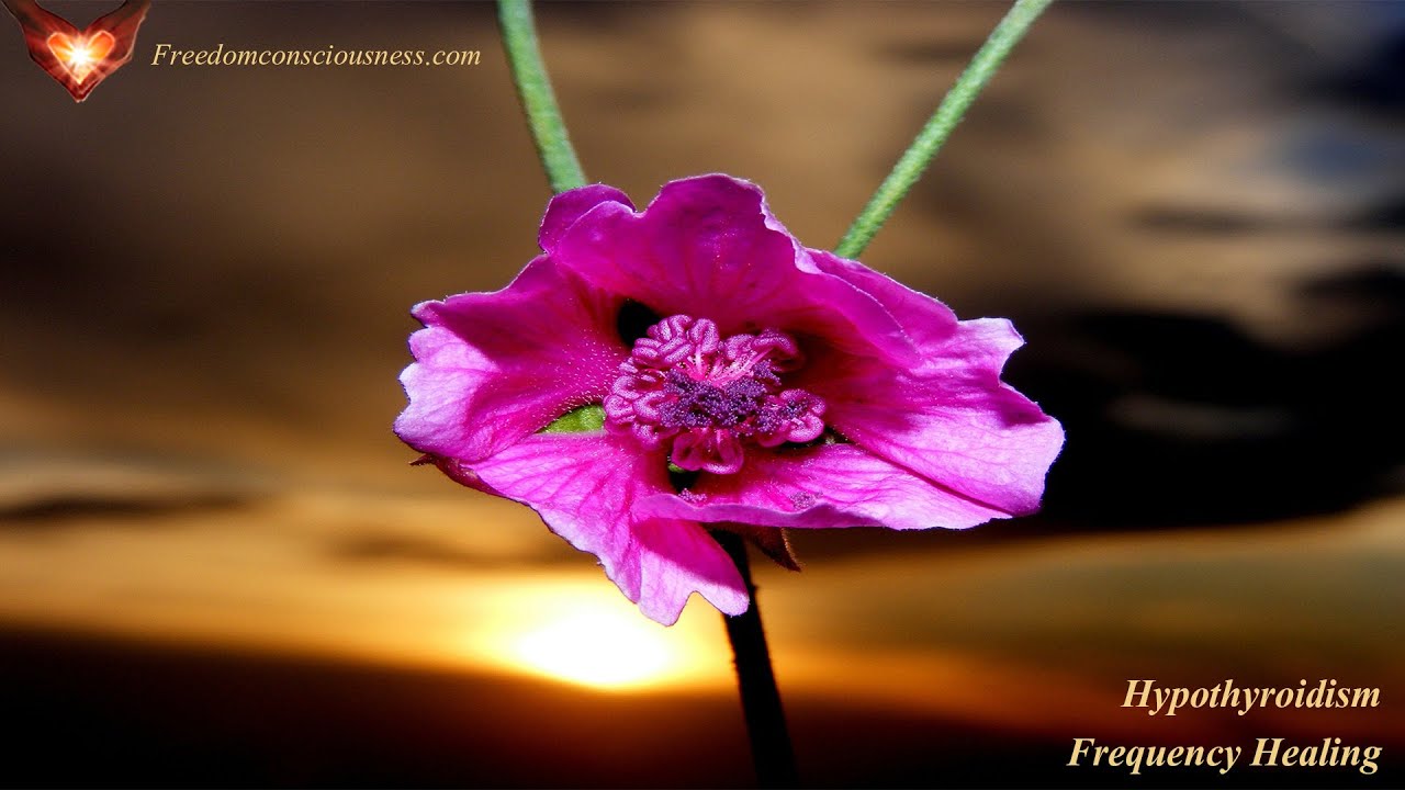 Hypothyroidism Energetic/Frequency Healing Meditation - Increase Thyroid Function