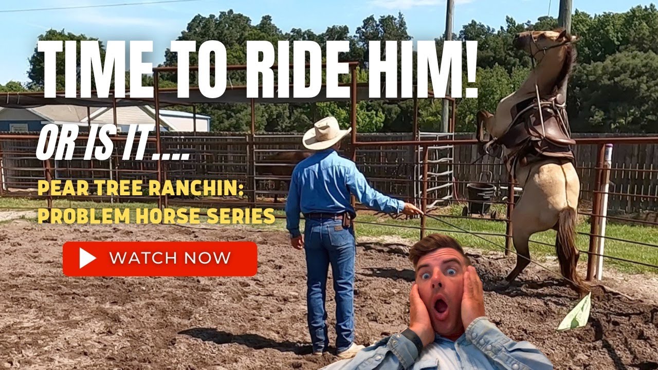 Pear Tree Ranchin 031: Problem Horse, Finally Riding the Rearing and Flipping over horse!