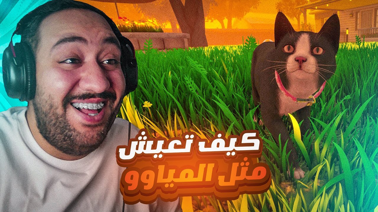 Copycat - 🌟 تلعب بقطة ضائعة - كيف تعيش مثل المياوو