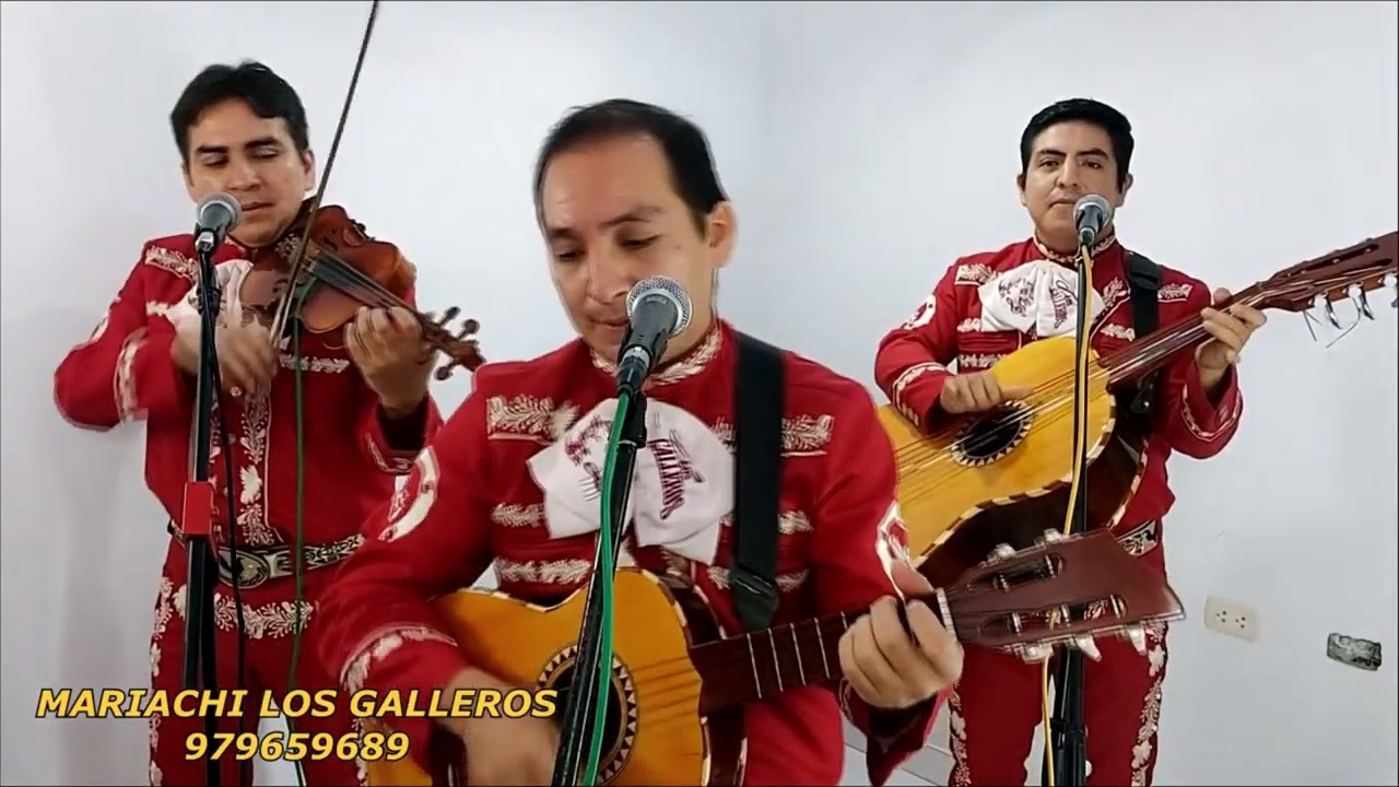 QUE NADIE SEPA MI SUFRIR (COVER) - Mariachi Los Galleros