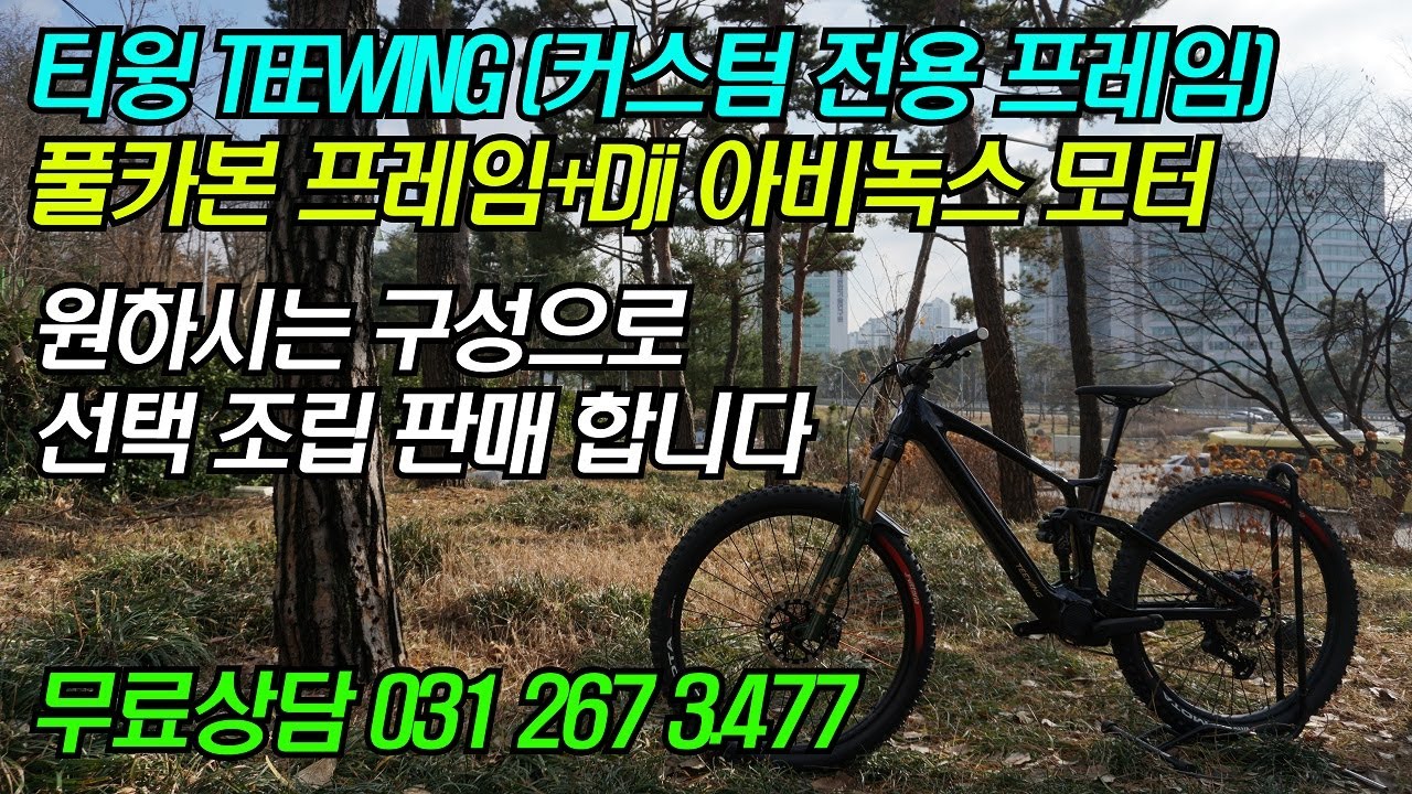 (커스텀 조립판매) 티윙TEEWING 커스텀(선택조립) 전기자전거 풀카본프레임+ DJI모터 105Nm+800Wh 배터리 조합 문의031 267 3477