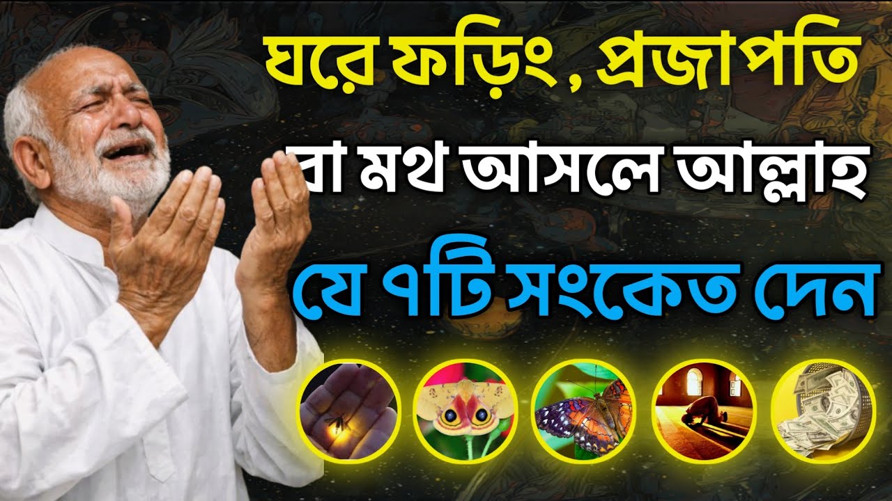 ঘরে জোনাকি, প্রজাপতি, বা ফড়িং আসলে আল্লাহ যে ৭ টি ইশারা দেন | সবার জানা উচিত  | Islamic Stories