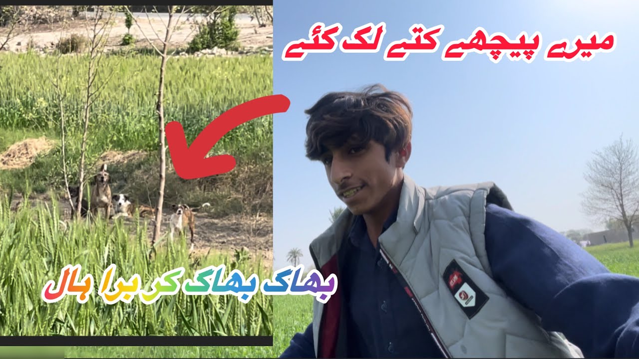 Mere Piche Kuthe lug guy ￼￼￼