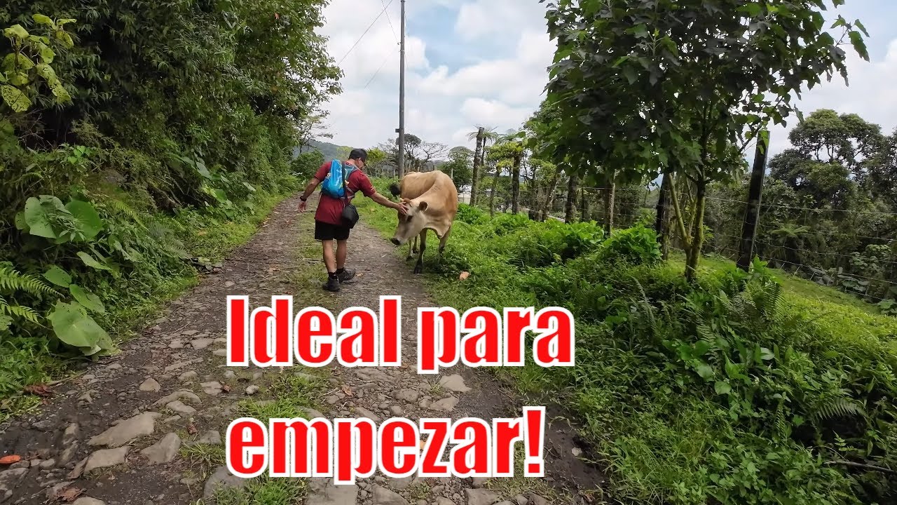 Caminata a Locos por el Bosque - Costa Rica | Ruta de Hoy