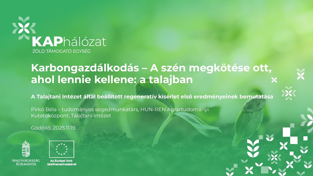 A Talajtani Intézet által beállított regeneratív mezőgazdasági kísérlet első eredményei