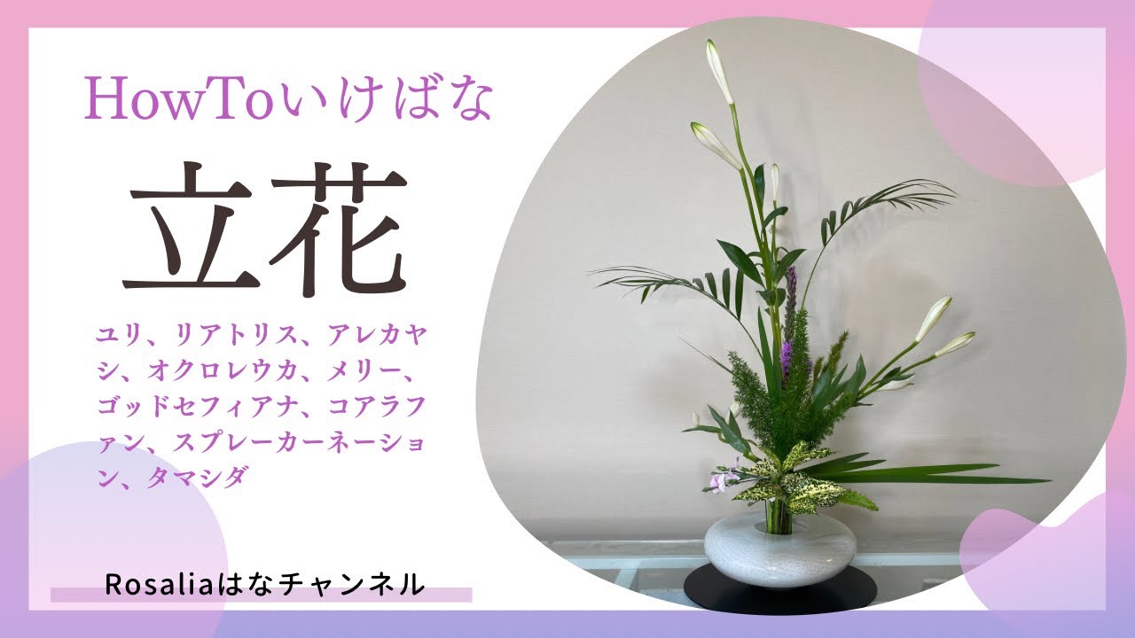 【いけばな/Ikebana/池坊】新種のユリ？新美白を使って立花正風体【flower】 初夏 【生け方 How to make】