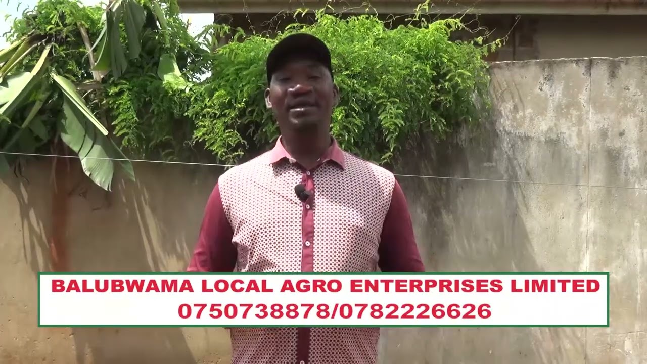 Okuuma Otya omutindo Gwe mwanyi nga ojyanika