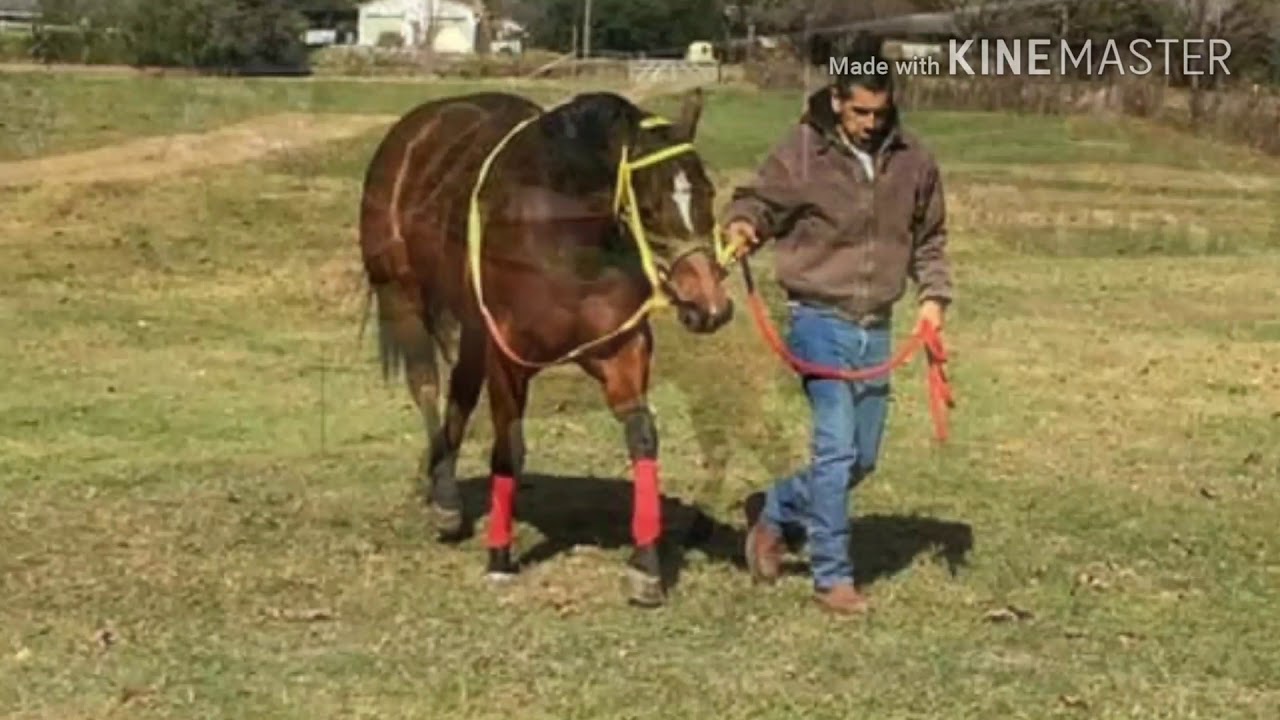 El corrido dela antenna  chunny Gonzalez