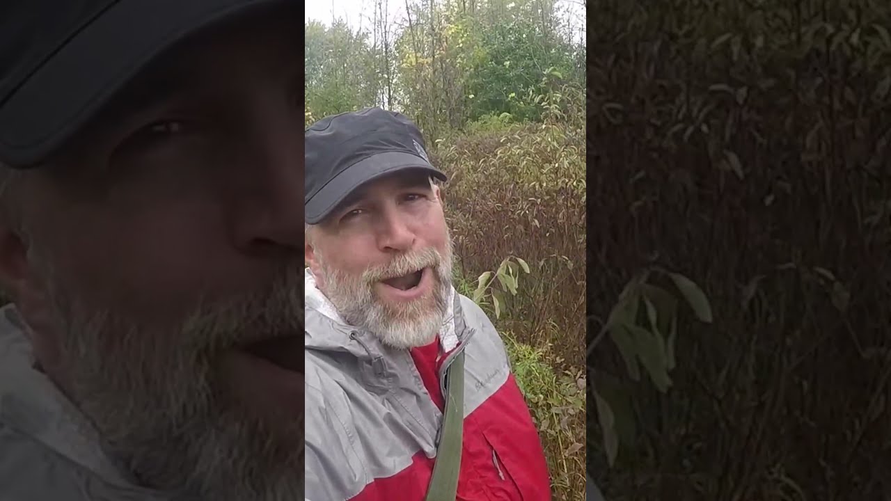 Best Wilderness Hat - Outdoor Research Radar Cap #Shorts