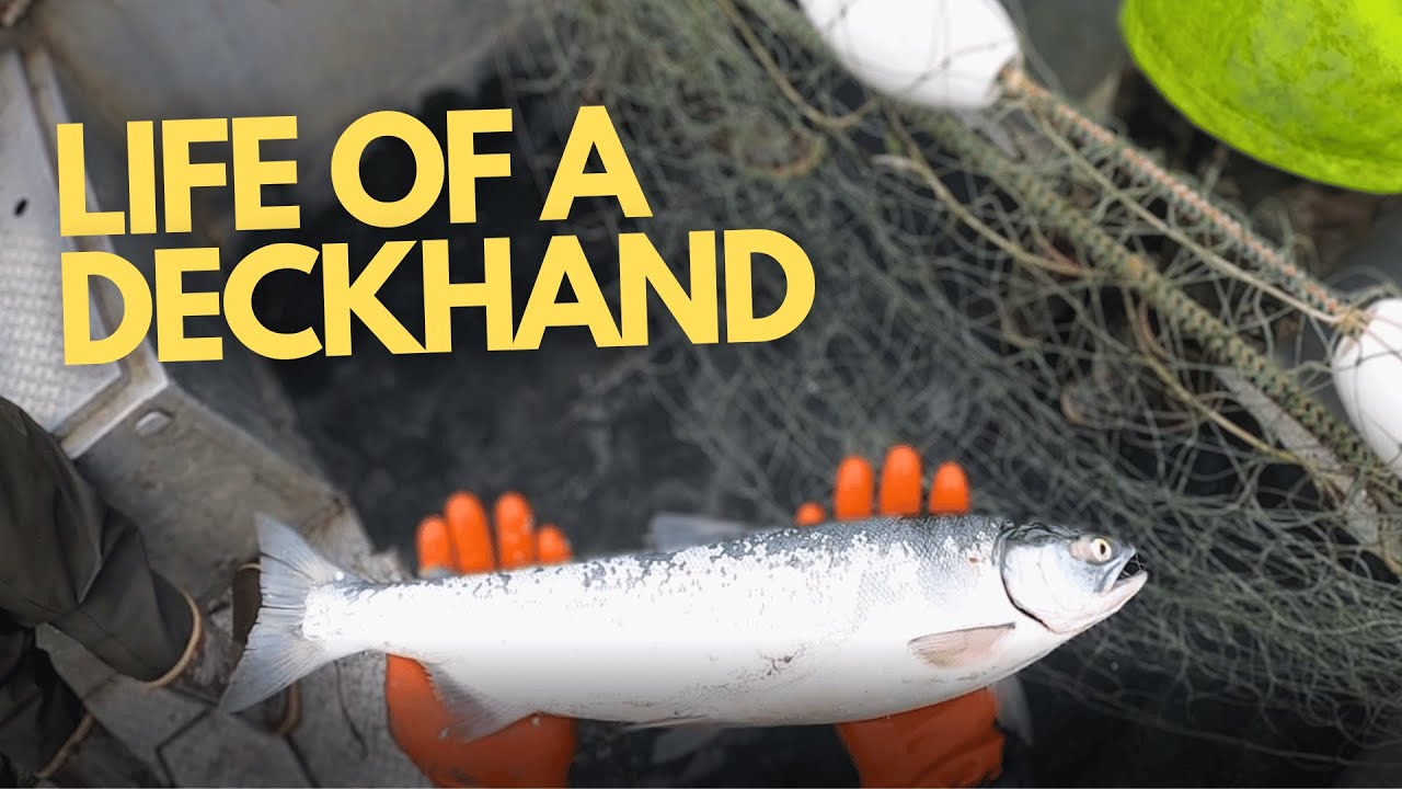 POV LIFE OF A ALASKAN SALMON DECKHAND | ALASKA 2022 Ep 1