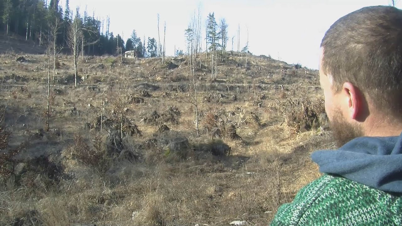 Notranjska: RAPALSKA MEJA