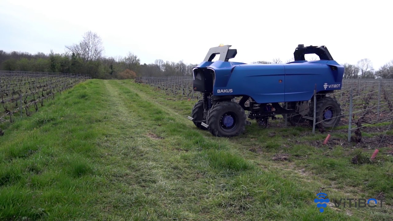 Travail des interceps &eacute;lectriques de VitiBot avec Bakus