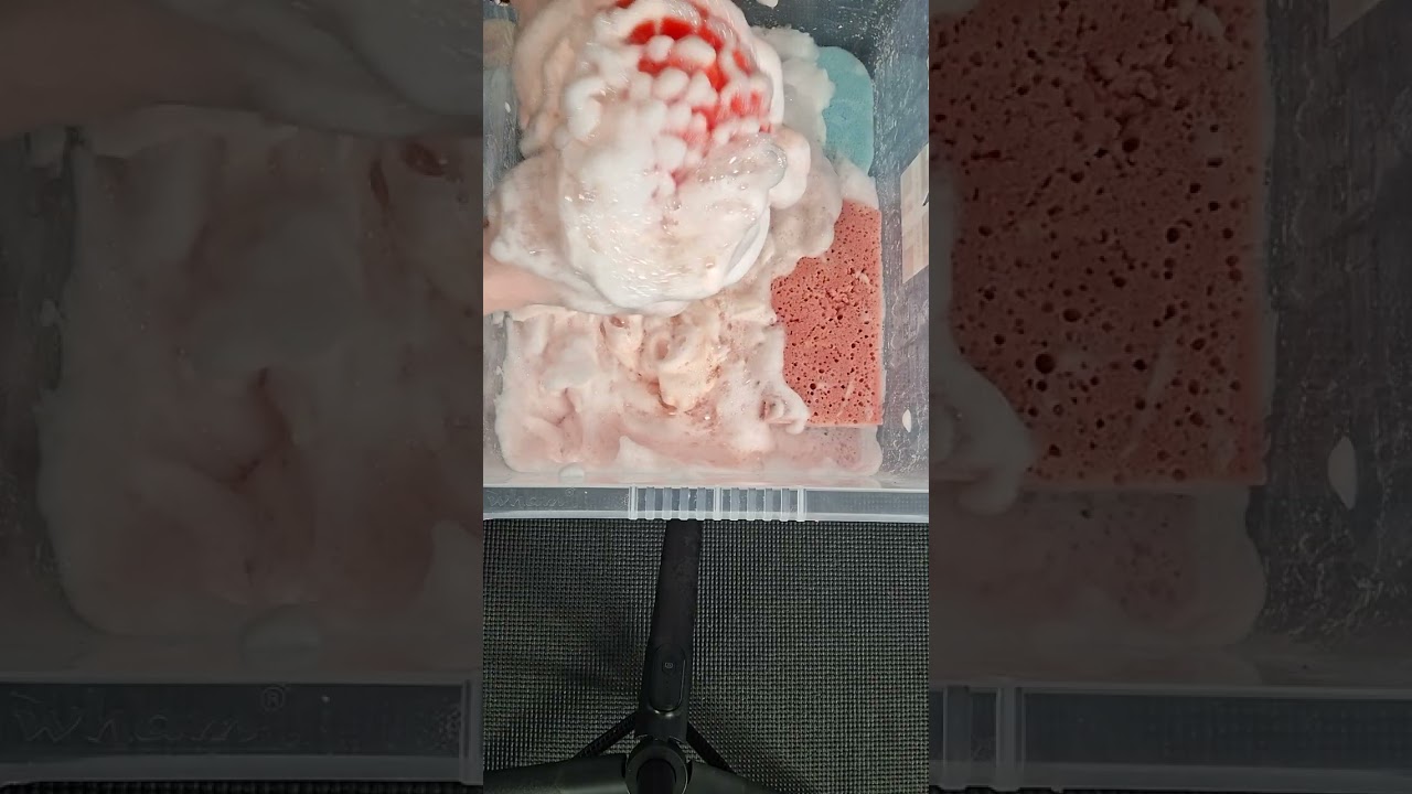Cif floor cleaner #asmr #satisfying #foam #sound #suds #soap #crunchy #crisp #sponges #frothy 