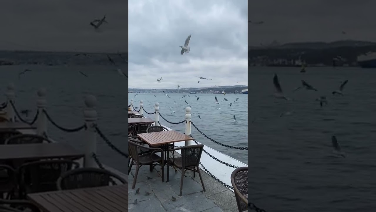 Arzonga sayohat qilishni o&rsquo;rgataman&hellip;