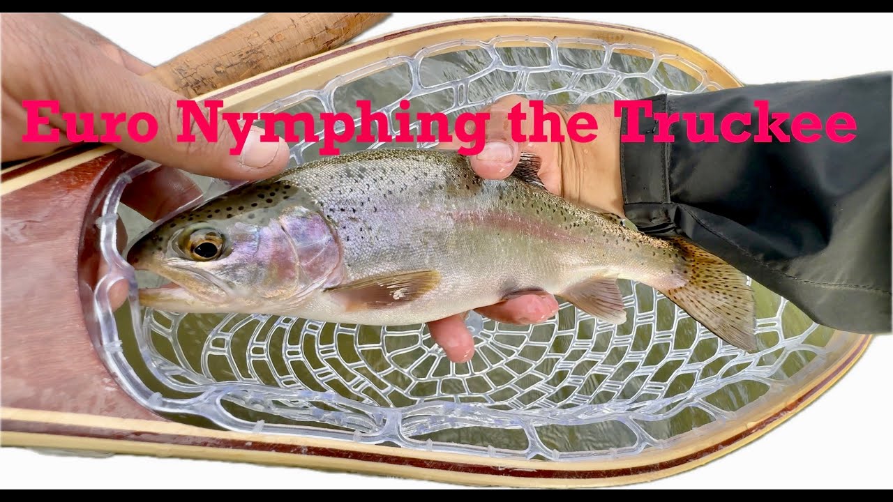 Fly Fishing the Truckee River | Session 2 Euro Nymph