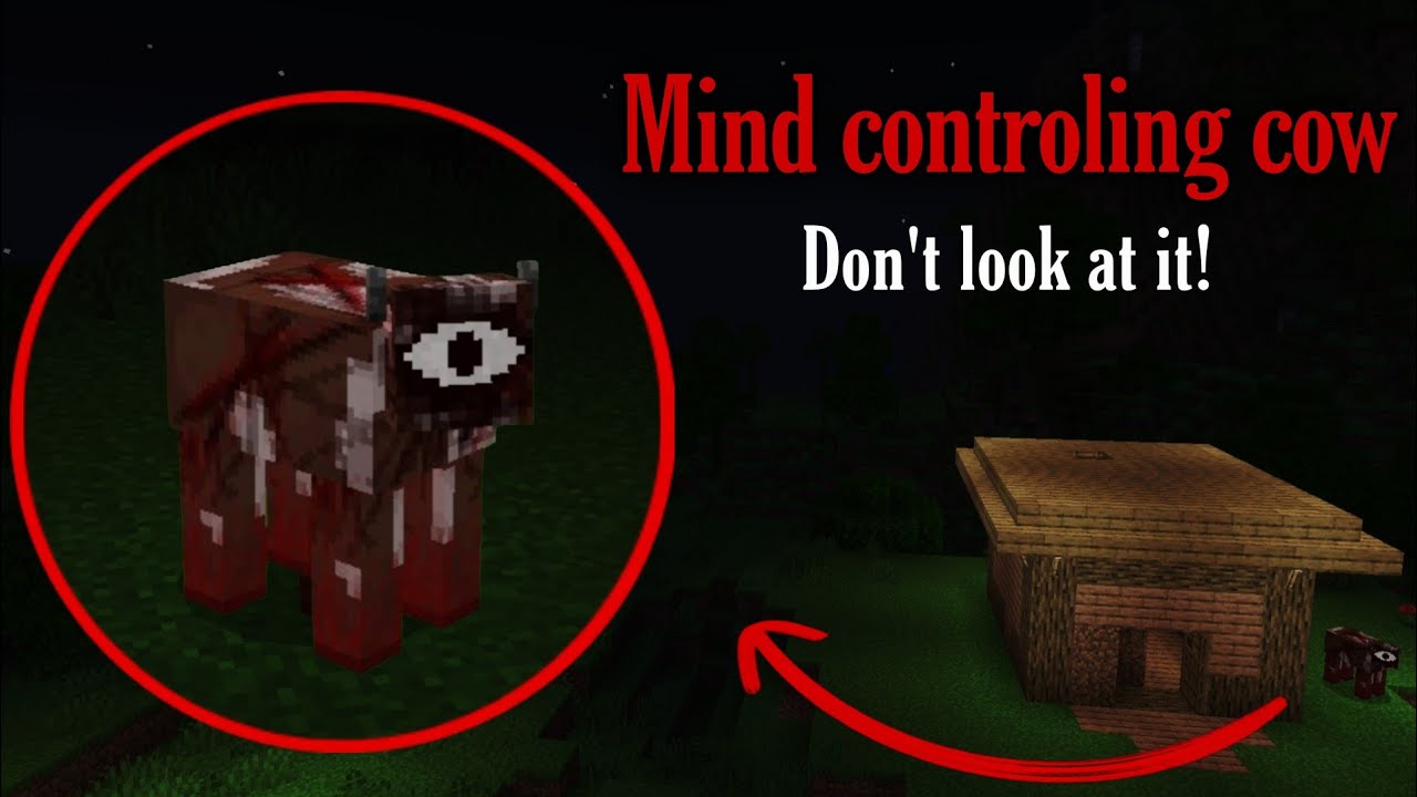 If you look at his eye, He can control your mind! (Bedrock Creepypasta)