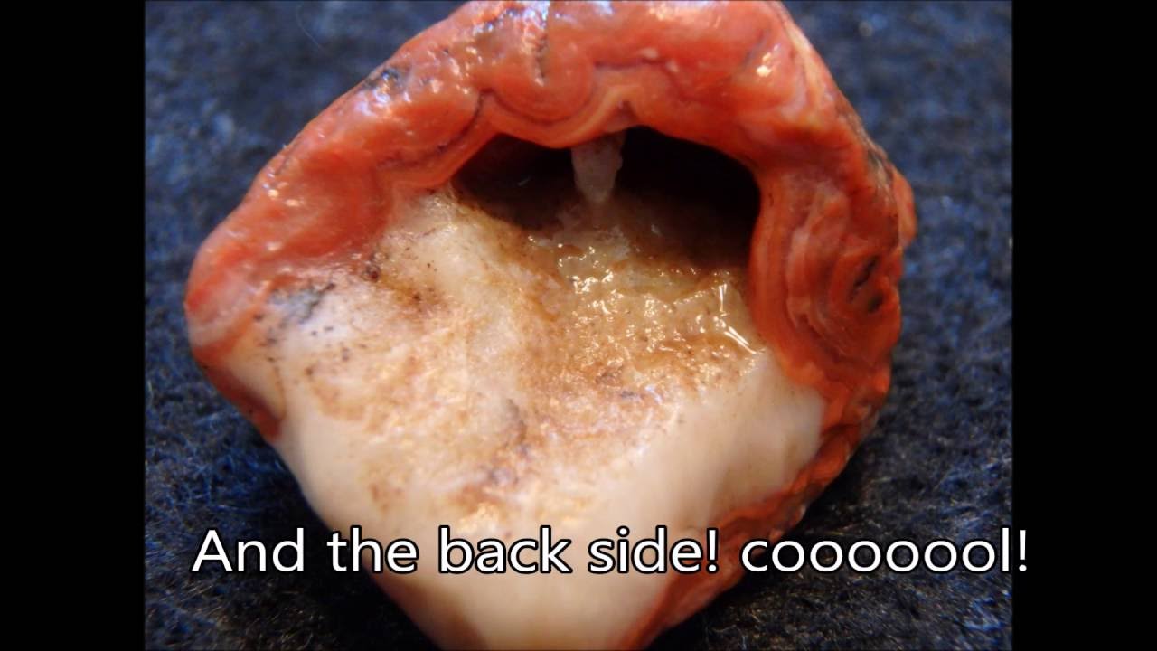 Agate hunting and rock collecting PART 2