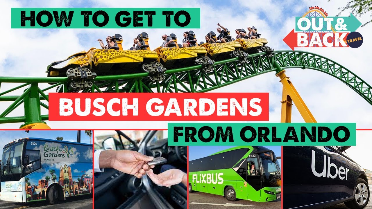 How To Get To Busch Gardens Tampa From Orlando